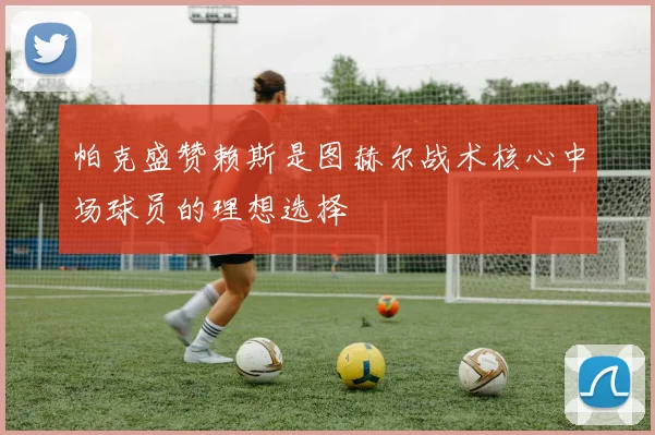 帕克盛赞赖斯是图赫尔战术核心中场球员的理想选择